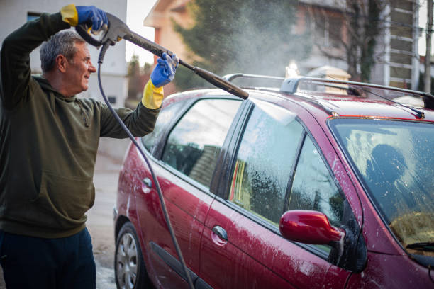 Ponderosa Pine, NM Pressure Washing Company